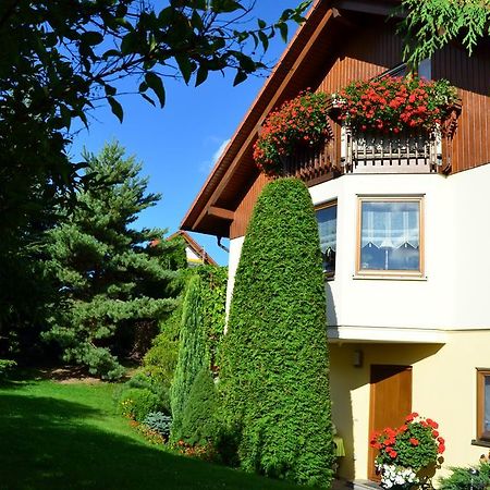 בישופסוורדה Ferienwohnung Sonnenblick מראה חיצוני תמונה